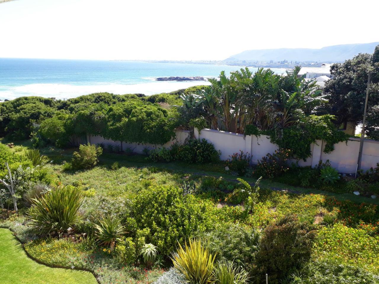Hermanus Beach Villa מראה חיצוני תמונה